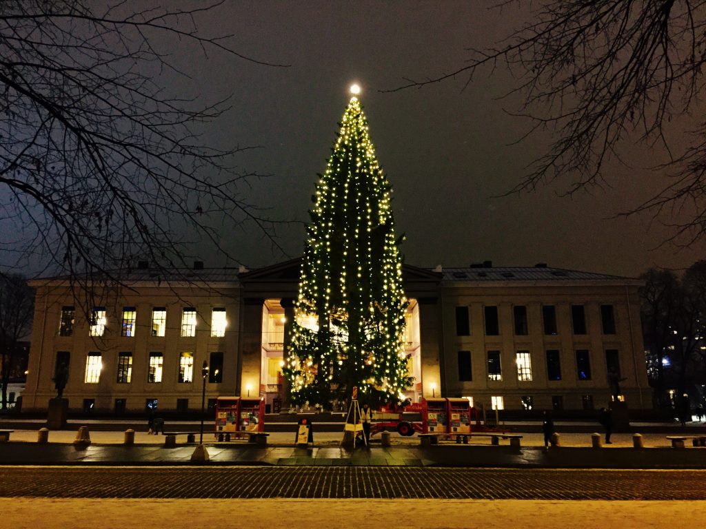 A large outdoor Christmas tree with lights on it in Oslo, Norway in winter