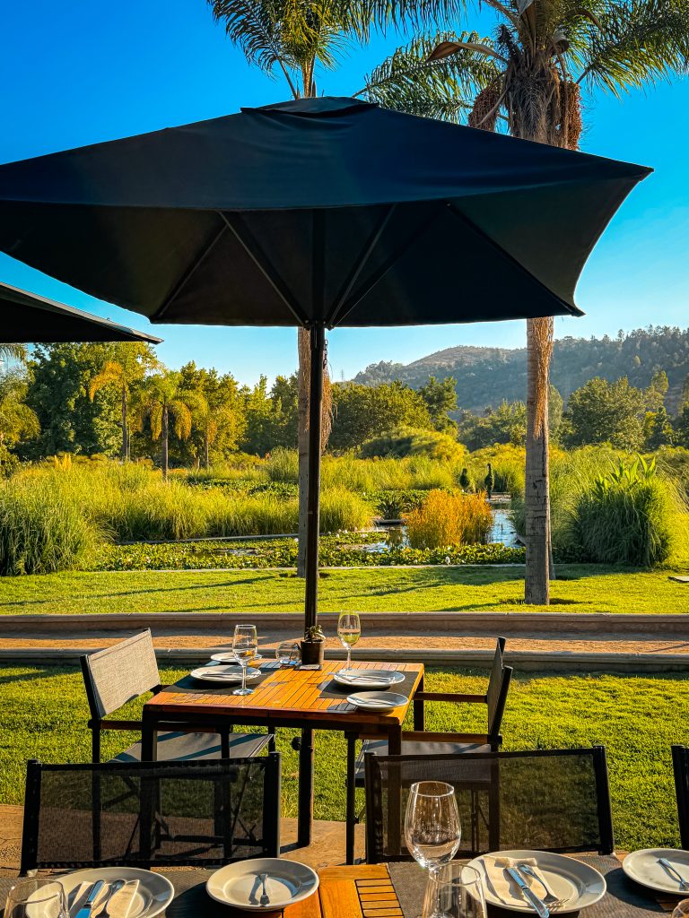 Outdoor park side dining table at Mestizo 