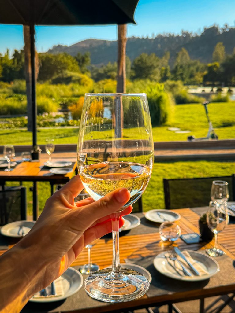 Hand holding a glass of white wine in Santiago, Chile