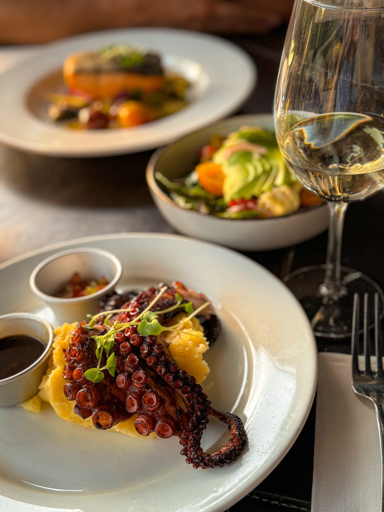 Dinner dishes of octuopus and salmon at Mestizo