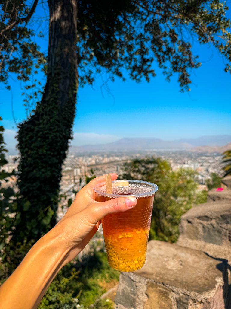 Hand holding a cup of motė con huesillo with a view of Santiago Chile