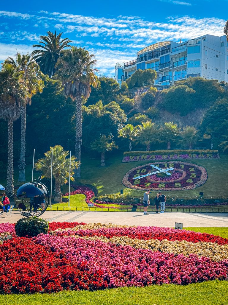 Huge clock made of flowers on the hill in Viña del Mar next to palm trees in a beautiful park setting