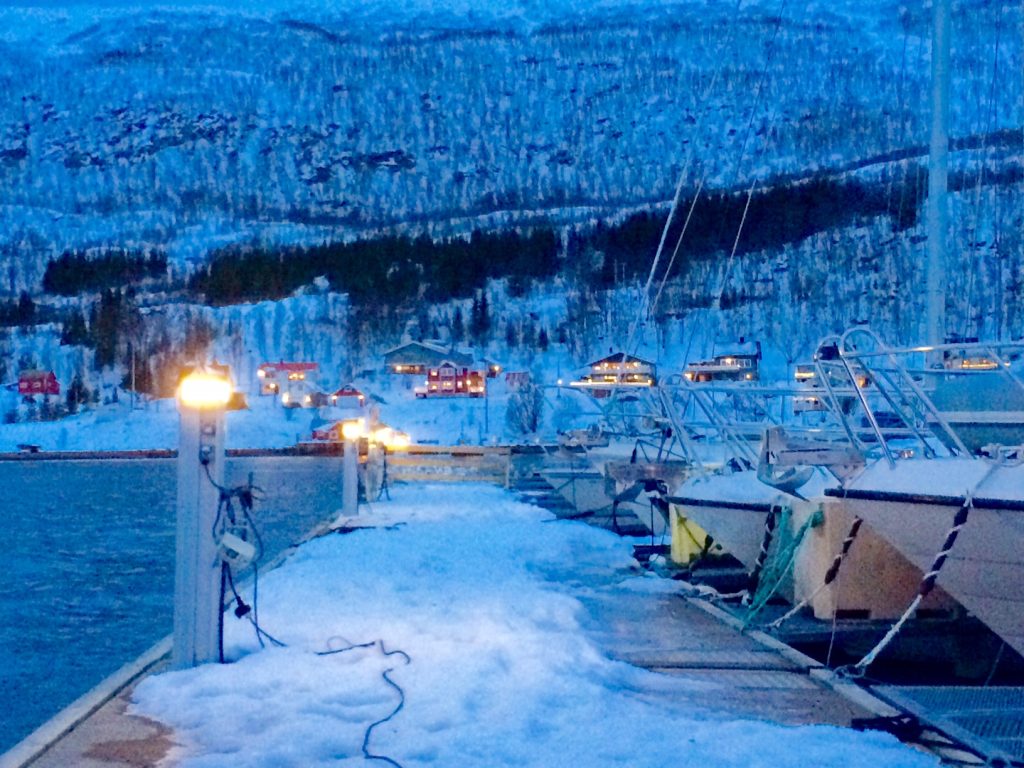 Boat lined winter harbor at dusk in arctic Norway