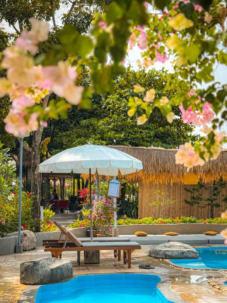 Flowers over a pool lined with umbrellas and chairs