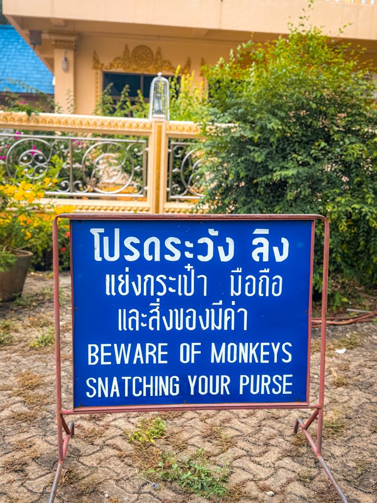 Warning sign about monkeys snatching purses at Tiger Cave Temple