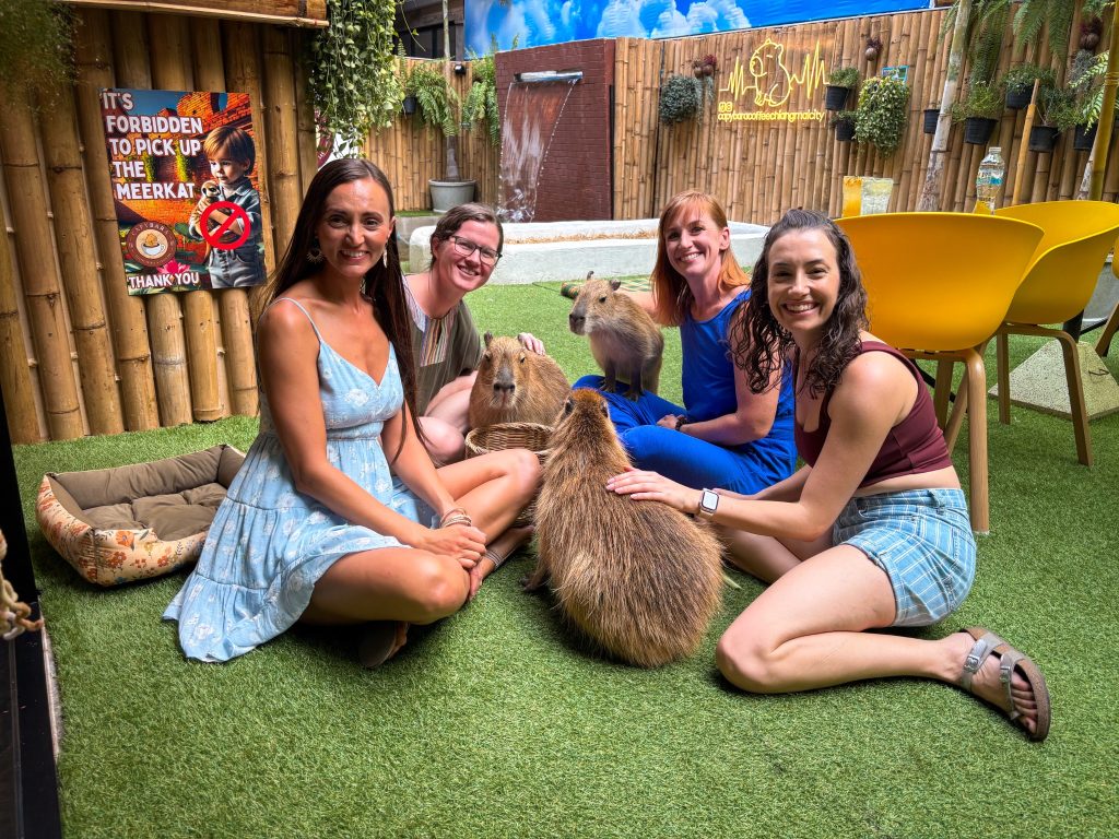 Group of women posing with several capybaras during a visit to Capybara Cafe Thailand in Chiang Mai.