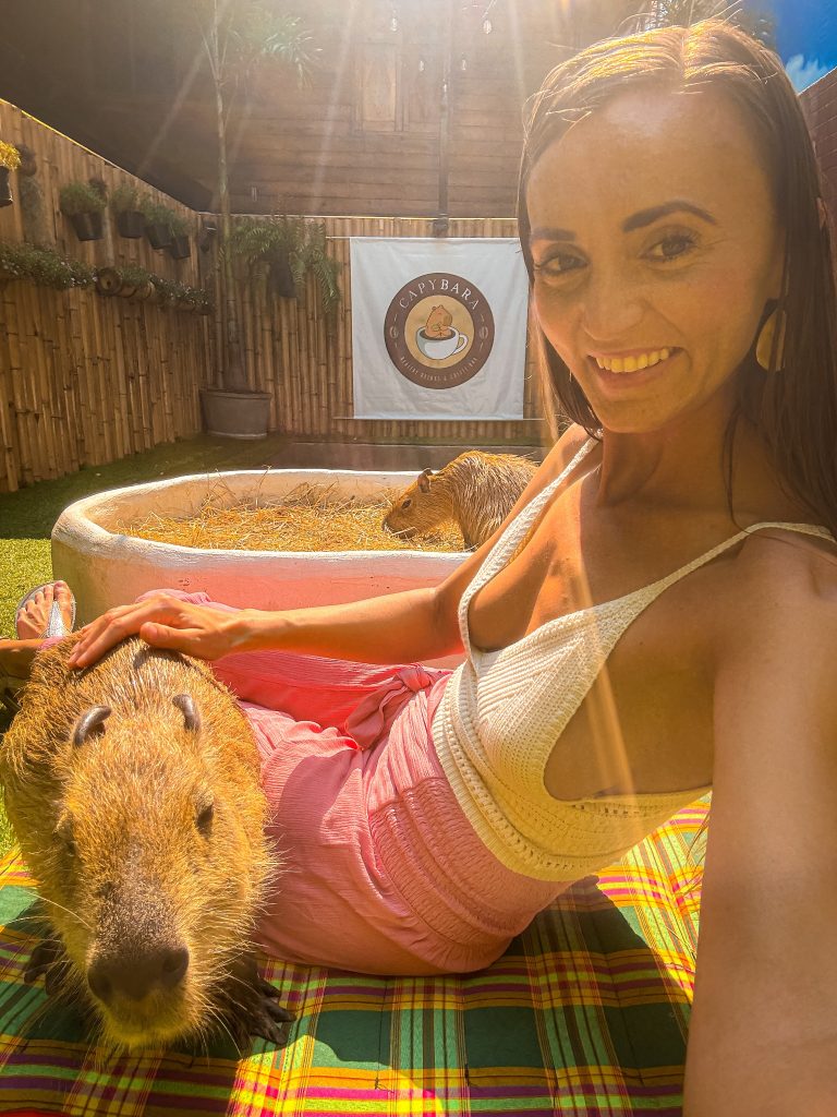 Woman petting a capybara while sitting beside the animal enclosure at Capybara Cafe Thailand.