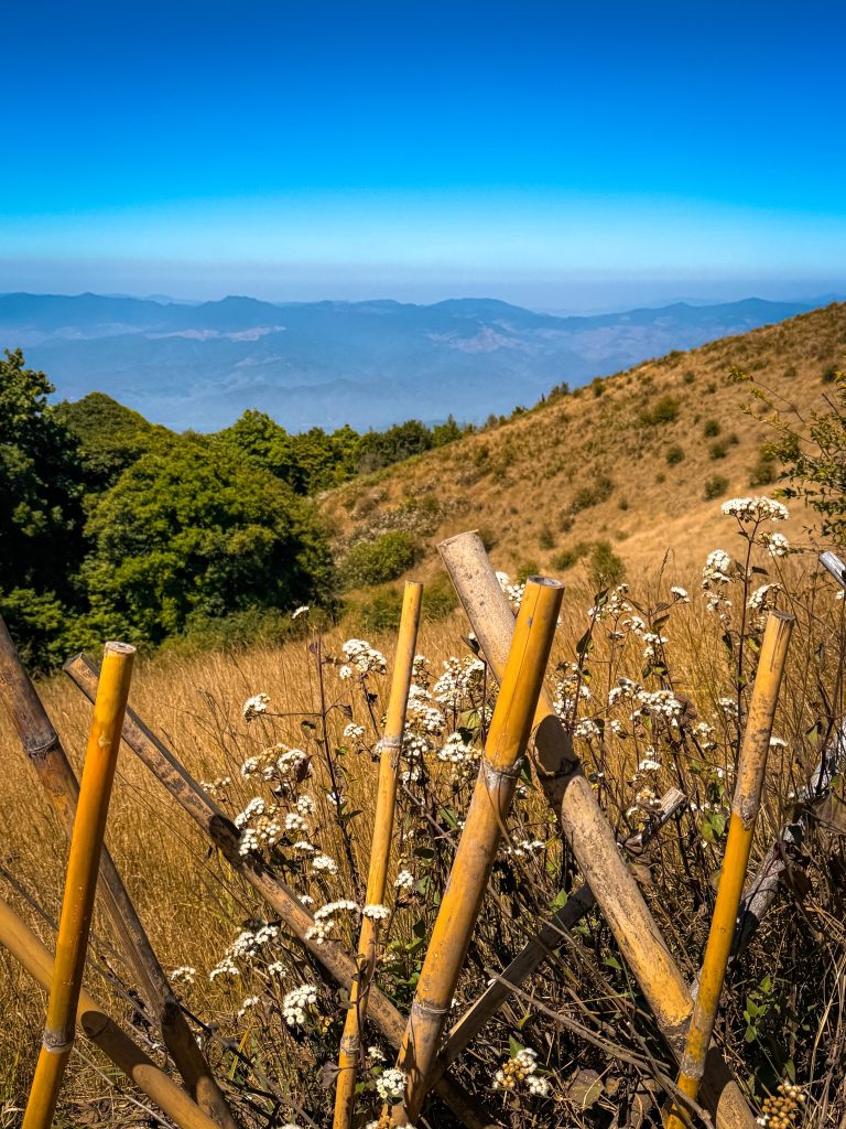 Mountain scenery, wildflowers, and a rustic bamboo fence along a Doi Inthanon hiking trail.