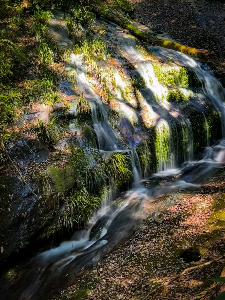 Small cascading waterfall flowing through the forest along the Kew Mae Pan Nature Trail in Doi Inthanon.