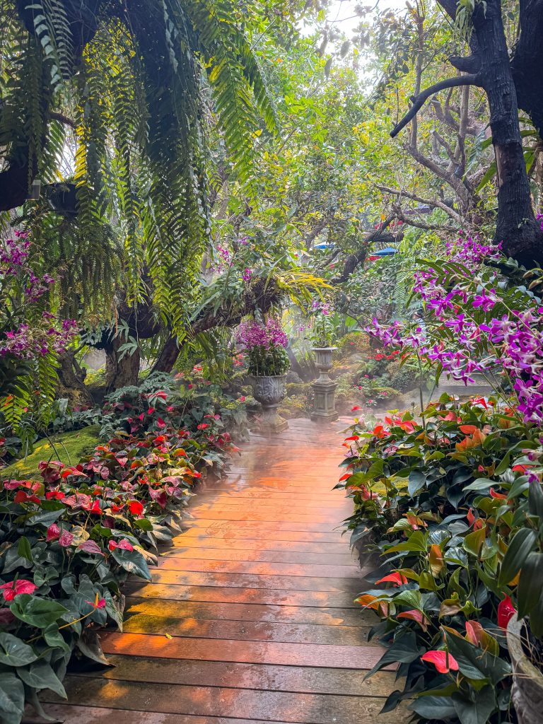 Misty wooden garden path surrounded by orchids, anthuriums, and tropical plants at Lalitta Cafe Chiang Rai.