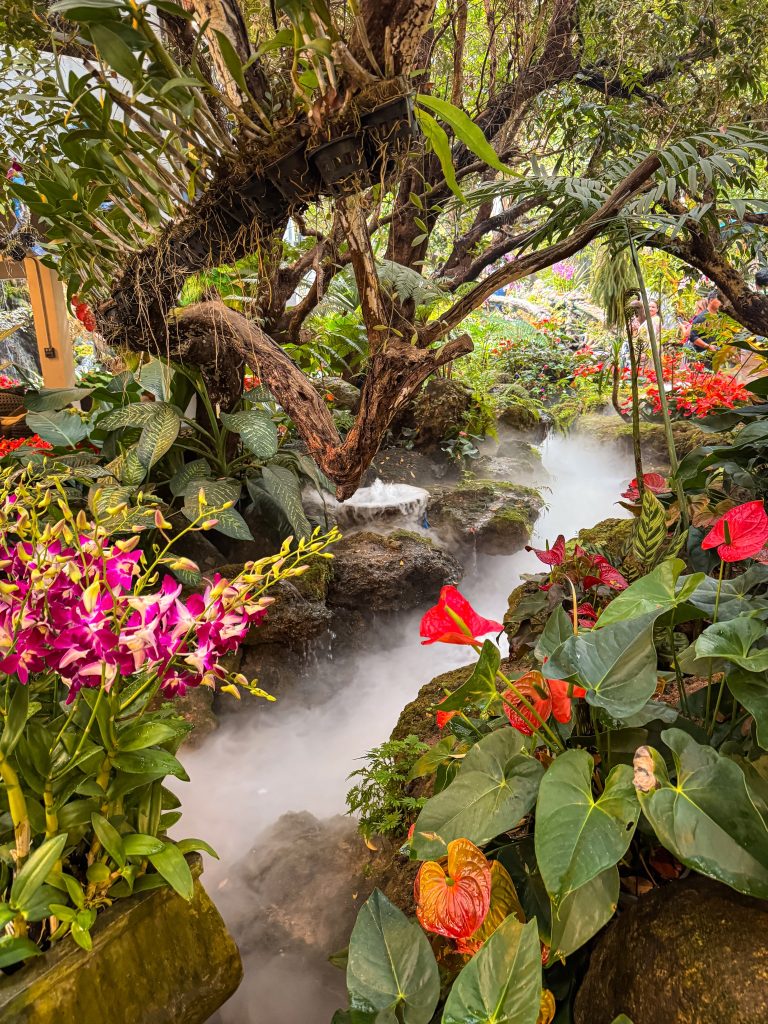 Mist-covered tropical garden filled with orchids, anthuriums, mossy rocks, and trees at Lalitta Cafe Chiang Rai.