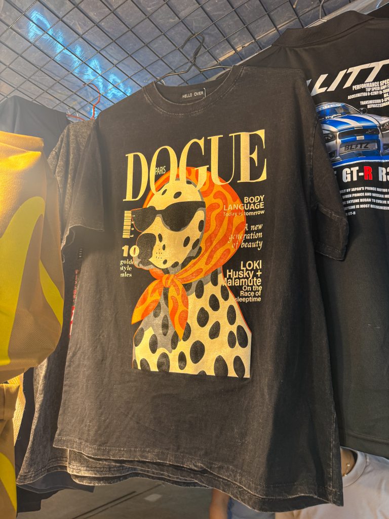 Fancy dog in sunglasses and a scard on a t-shirt