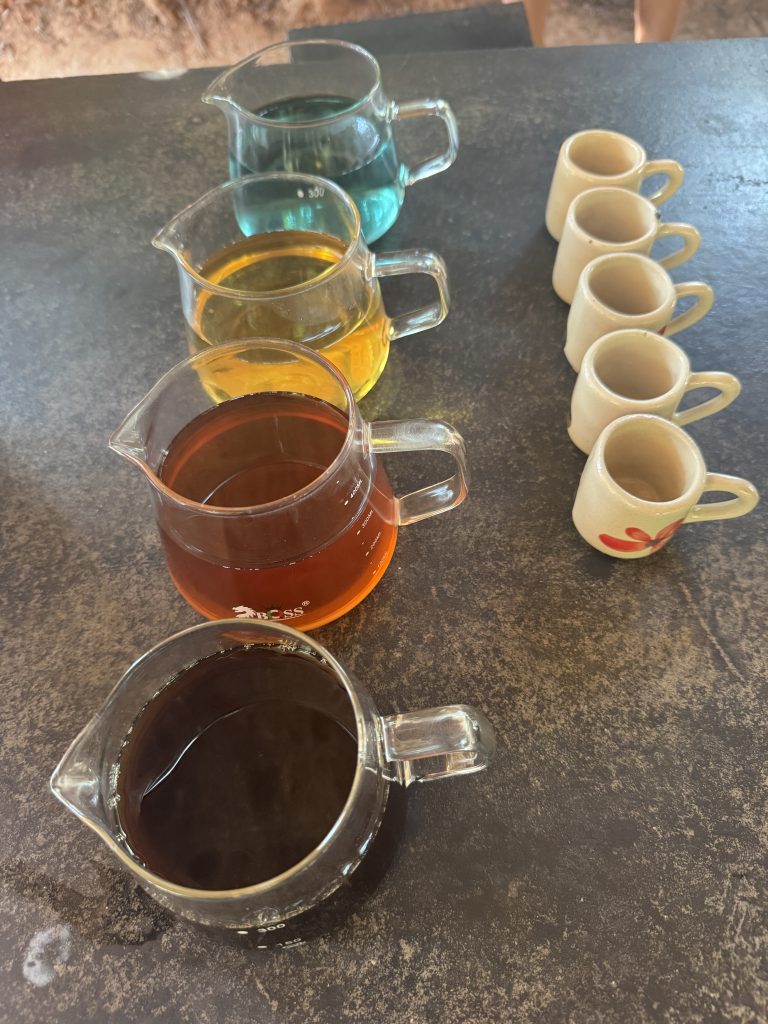 4 glass mugs of various teas and coffee in Northern Thailand