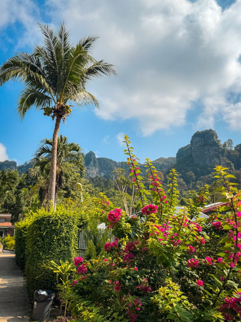 Palm tree and flowers with limestone cliffs behind in Krabi, Thailand