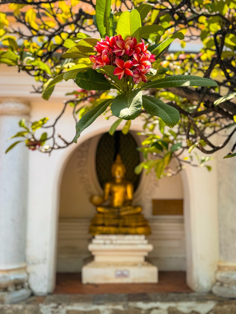 Flowers on a tree branch over a golden buddha statue