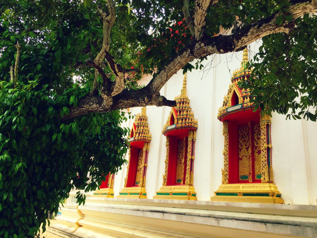Temple windows behind a tree in Thailand
