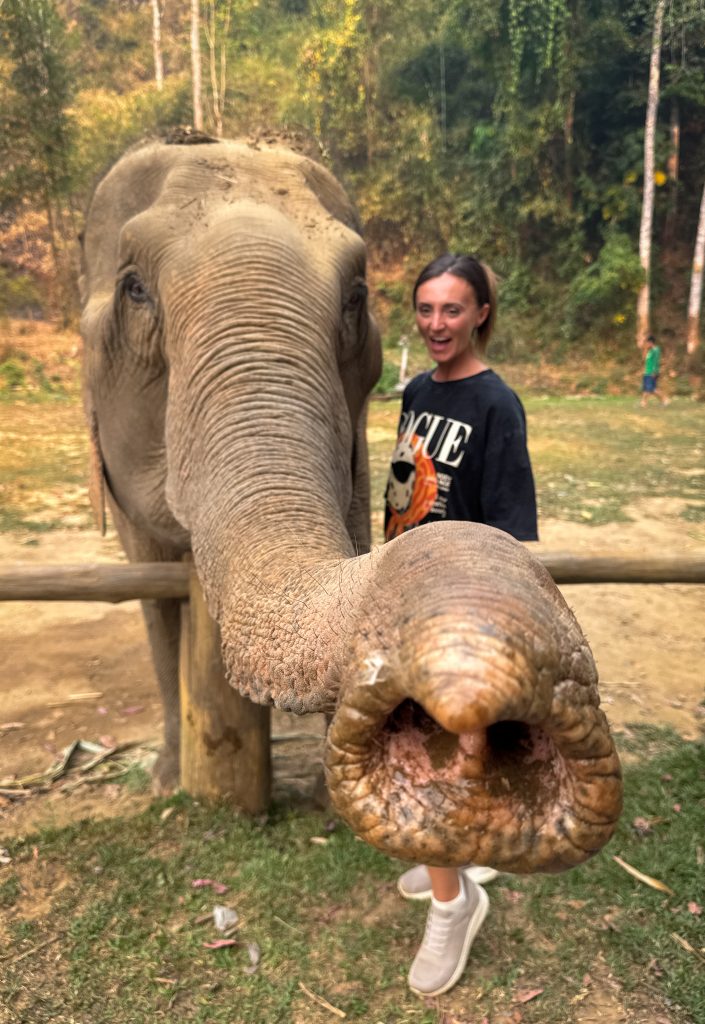 Woman and an elephant with it's trunk reaching towards the camera