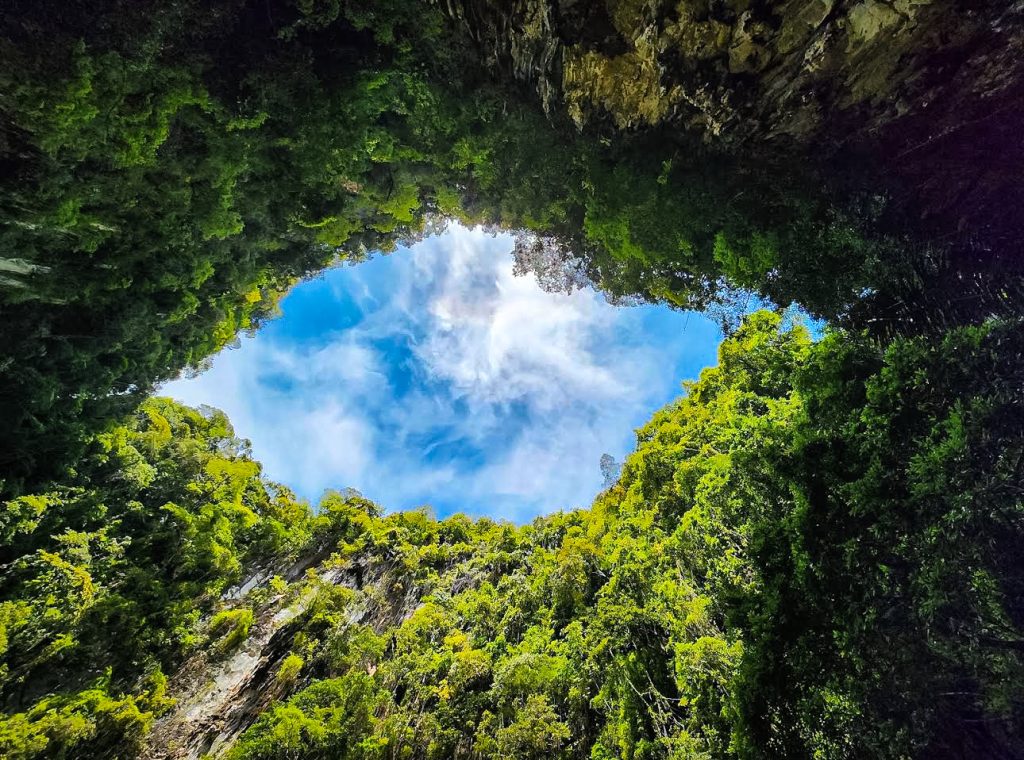 Eye shaped sky surrounded by trees at railay lagoon