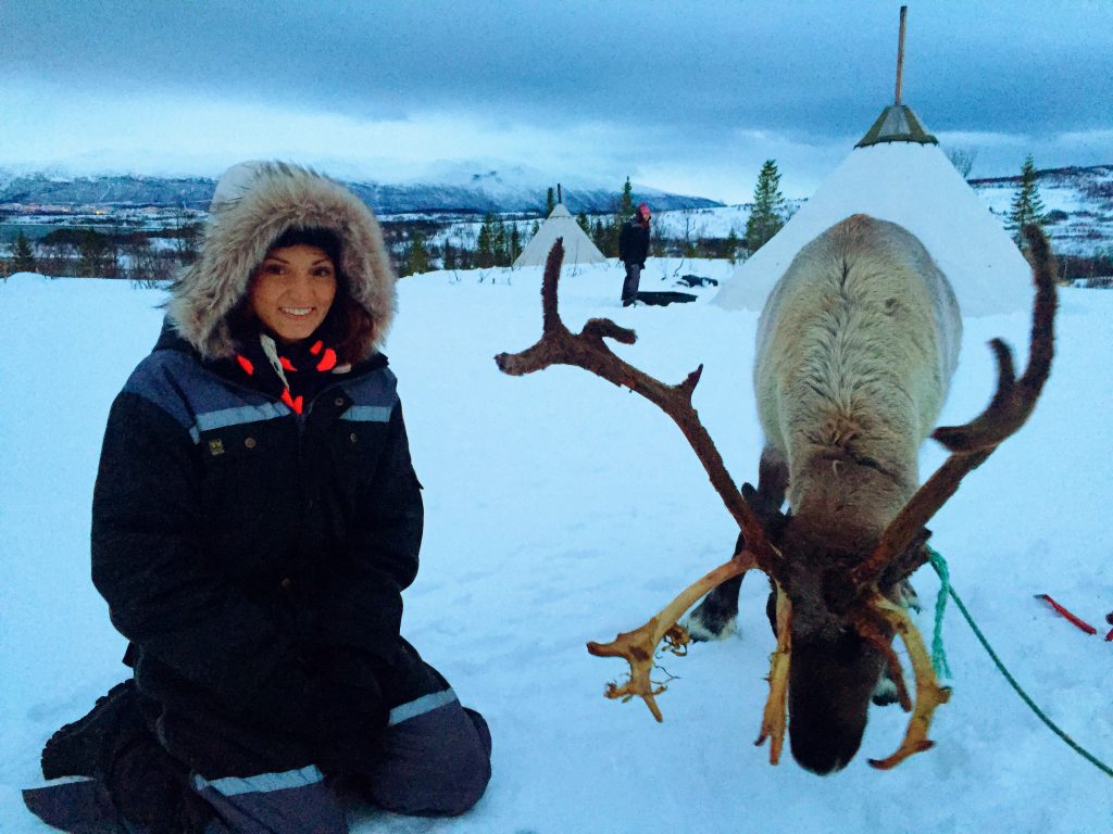 Woman sitting in the snow with a reindeer in Tromso, Norway