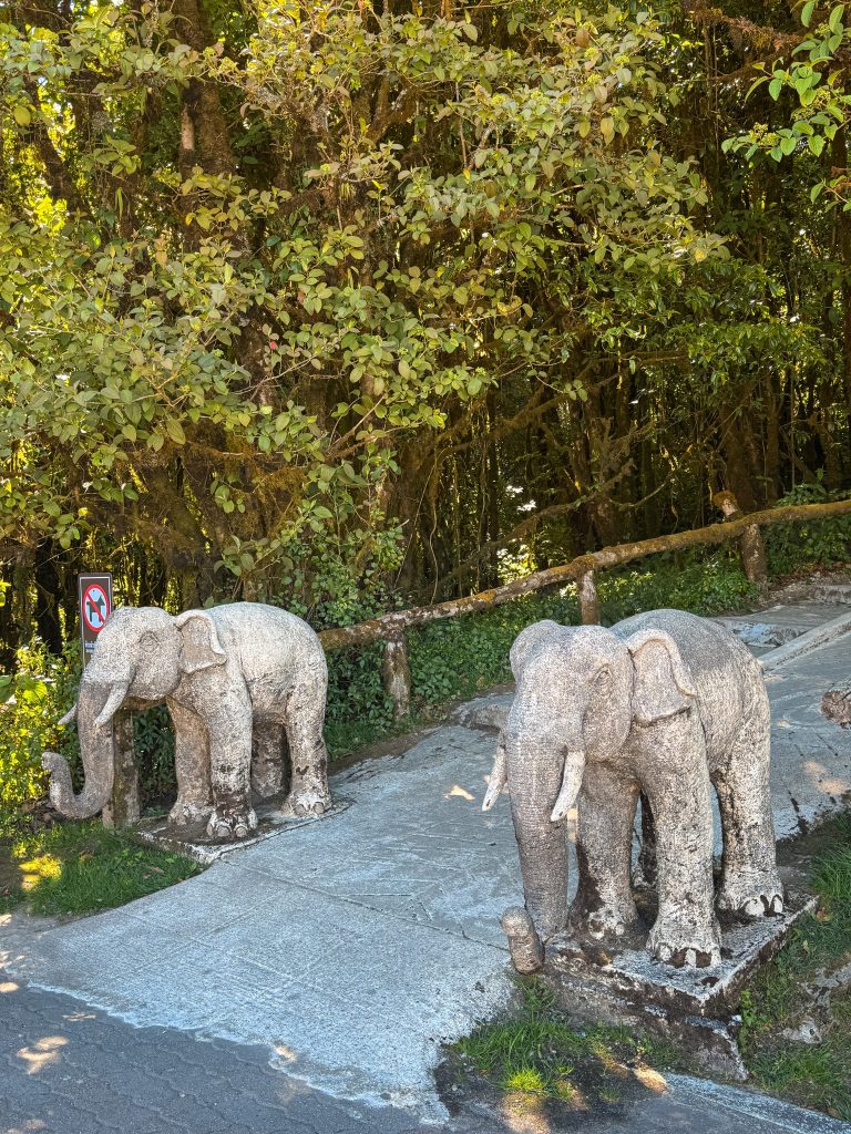 Stone elephant statues beside a forest path in Doi Inthanon National Park in northern Thailand.
