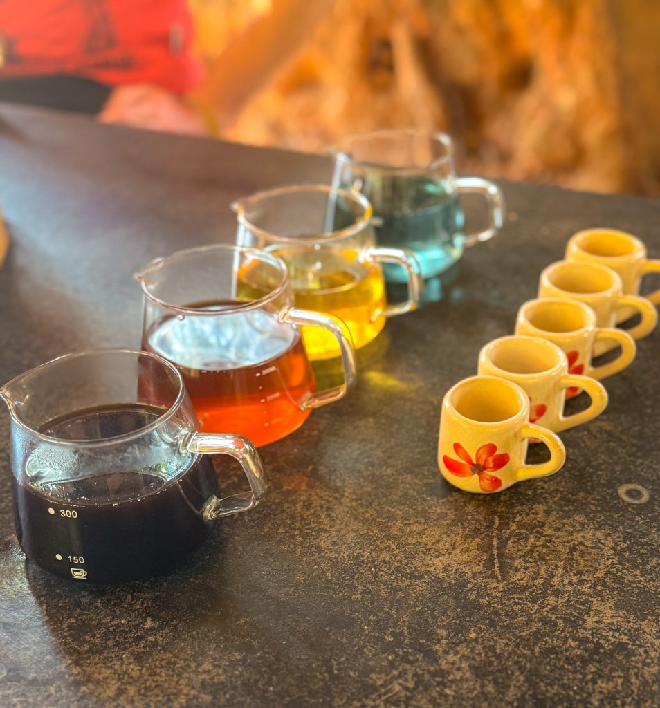 Small cups and pitchers prepared for a local coffee tasting in a Hmong village near Doi Inthanon National Park.