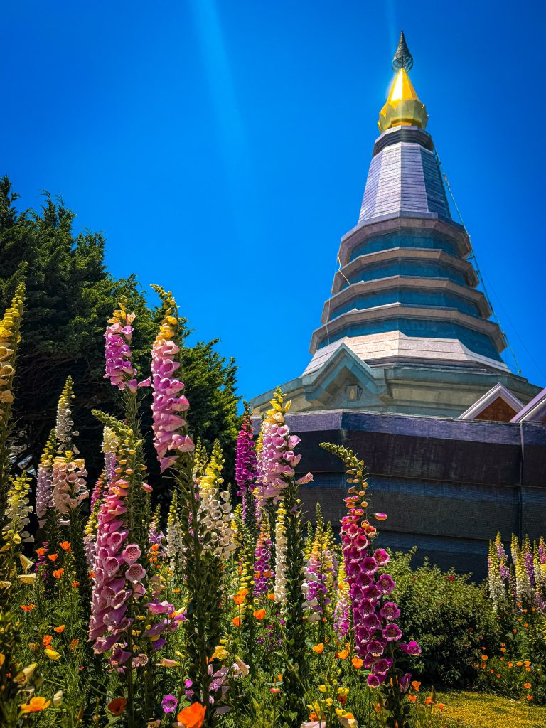 Royal Pagoda rising above colorful flower gardens beneath a bright blue sky in Doi Inthanon National Park.