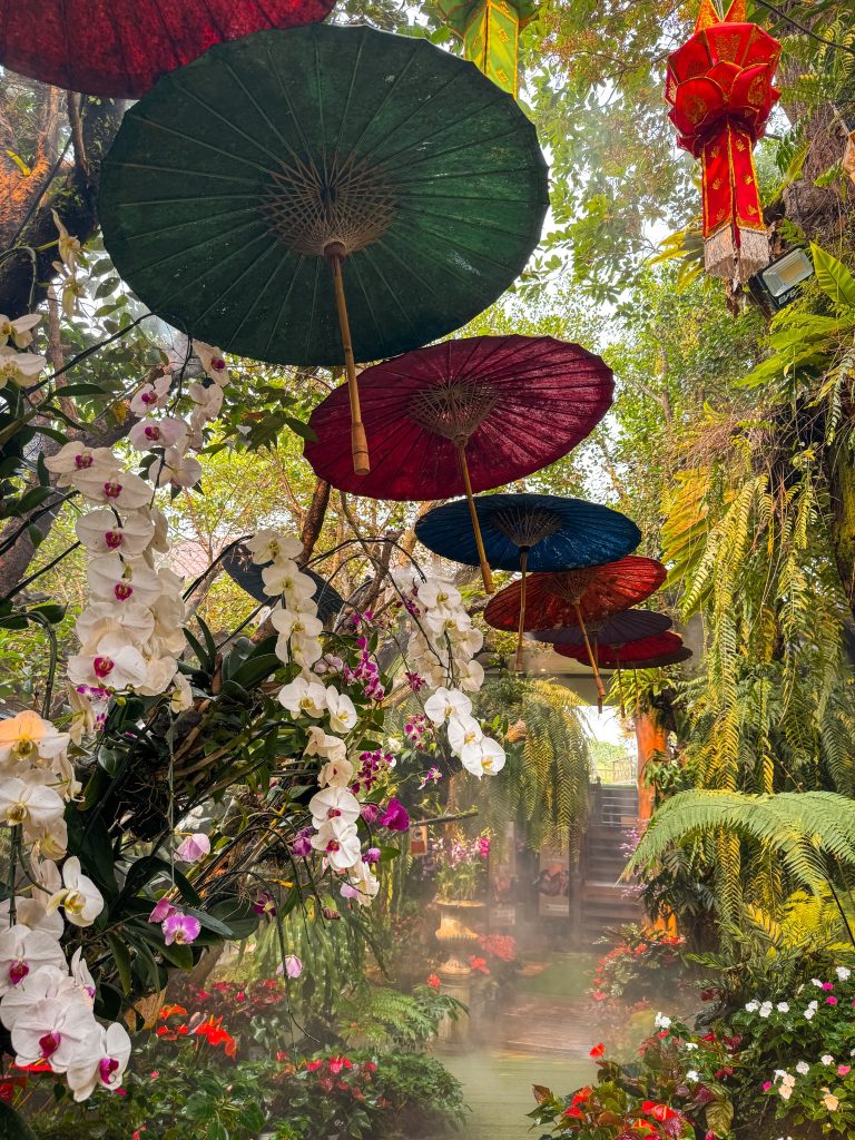 Garden walkway decorated with white orchids and colorful suspended umbrellas at Lalitta Cafe Chiang Rai.