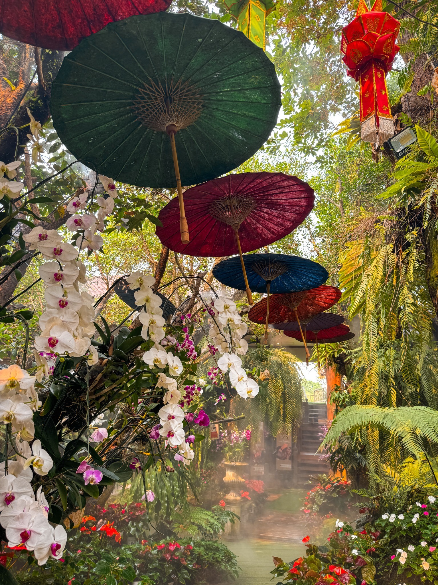 Garden walkway decorated with white orchids and colorful suspended umbrellas at Lalitta Cafe Chiang Rai.